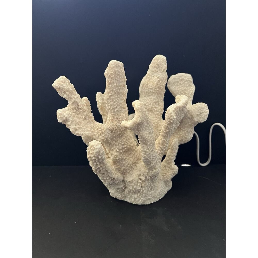 Small Coral Table Accent Lamp Coastal Ocean Beach Organic Realistic Resin 7.5”H - Picture 2 of 12